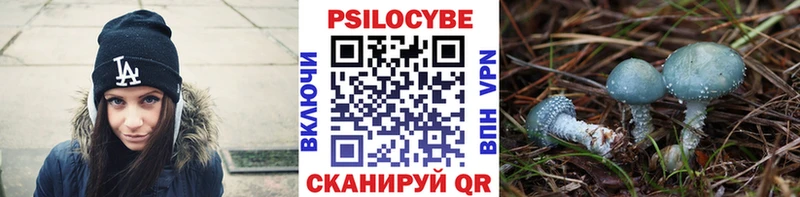 Галлюциногенные грибы Psilocybe  OMG   Кумертау 