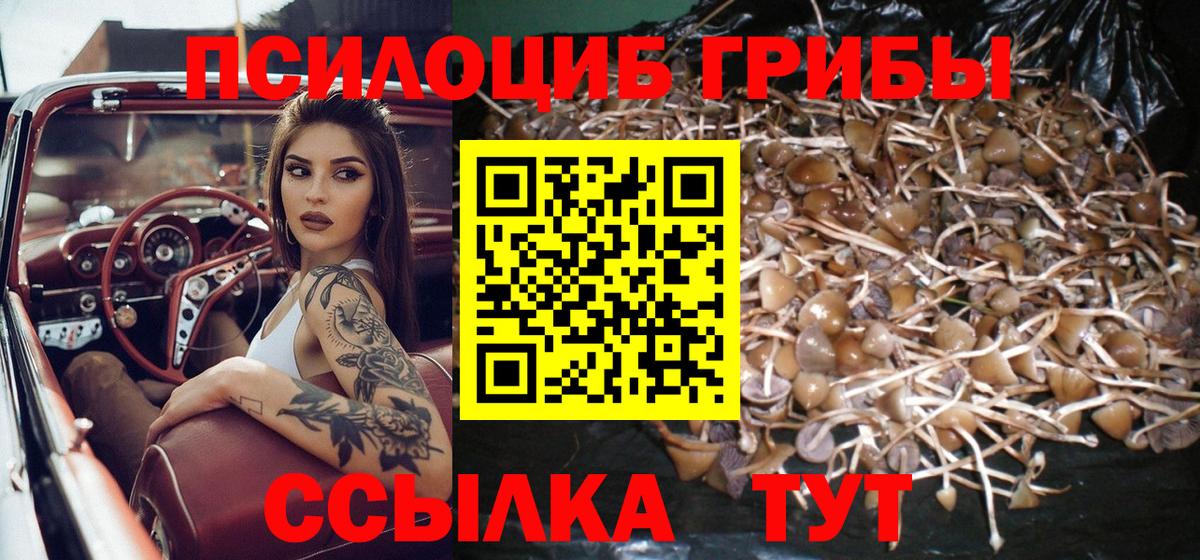 Галлюциногенные грибы GOLDEN TEACHER  Вход с VPN  Кумертау  Псилоцибиновые грибы прущие грибы 